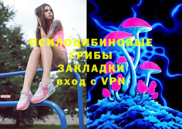 МДПВ Горно-Алтайск