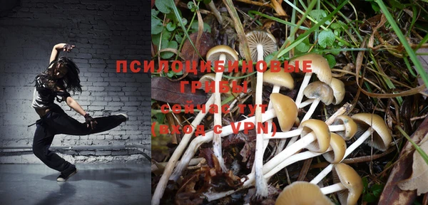 МДПВ Горно-Алтайск