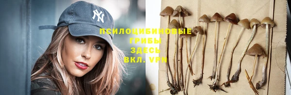 меф Горняк