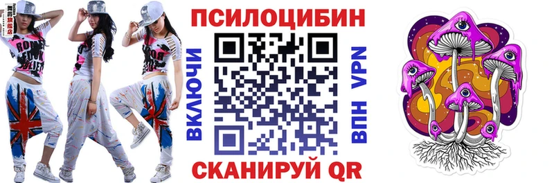 Псилоцибиновые грибы Cubensis сколько стоит Судак