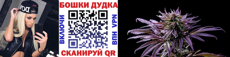 mega ссылки  Судак  МАРИХУАНА сатива 
